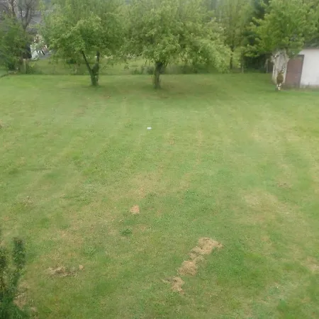 La Clematite D Olt Saint-Côme-dʼOlt