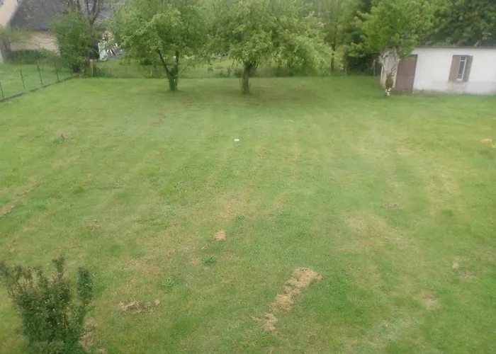 La Clematite D Olt Saint-Côme-dʼOlt